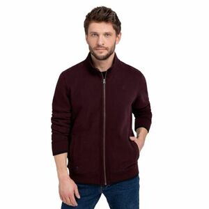 Pánská mikina se zipem VOLCANO-B-LED-403-BURGUNDY obraz