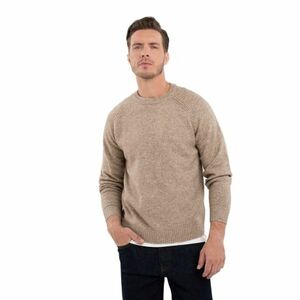 Pánský svetr VOLCANO-S-CLIMB-102-BEIGE obraz