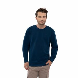 Pánská mikina VOLCANO-B-ANDY-601-Blue obraz