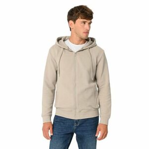 Pánská mikina se zipem VOLCANO-B-LERMO-102-BEIGE obraz