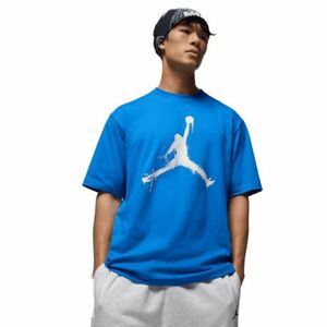 Pánské triko s krátkým rukávem NIKE-JORDAN M BRK COL JUMPMAN SS CREW obraz