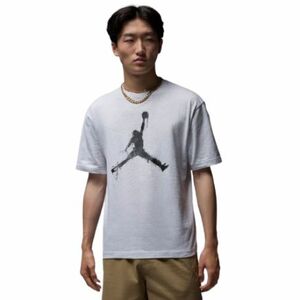 Pánské triko s krátkým rukávem NIKE-JORDAN M BRK COL JUMPMAN SS CREW obraz