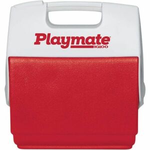 Termobox do auta IGLOO-Eisbox Igloo Playmate Pal obraz