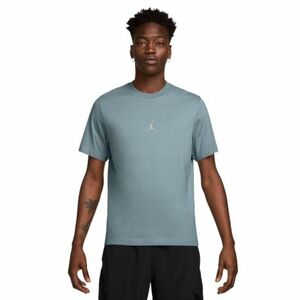 Pánské tréninkové tričko s krátkým rukávem NIKE-JORDAN M J DF SPRT JDN SS CREW obraz