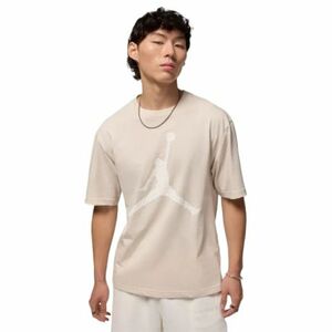 Pánské triko s krátkým rukávem NIKE-JORDAN M J BRK MG FILL SS CREW obraz