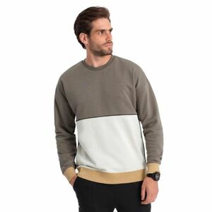 Pánská mikina OMBRE-Sweatshirt B1673 V-7 dark brown obraz