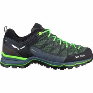 Pánská nízká turistická obuv SALEWA-Mountain Trainer Lite GTX M myrtle/ombre blue obraz