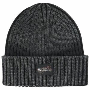 Pánská zimní čepice 4F-CAP WAW25ACAPM628-20S DEEP BLACK obraz