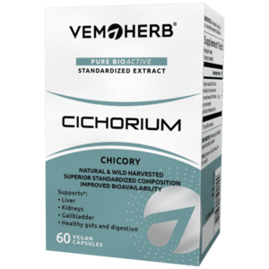 VemoHerb Cichorium (Čekanka obecná) obraz