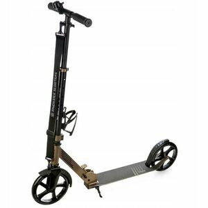 Raven Sentel Gold obraz