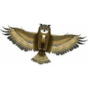 Günther Létající drak pro děti SOVA 122 x 68 cm obraz