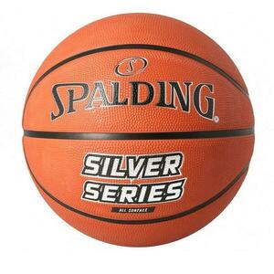 Spalding Míč basket SILVER SERIES RUBBER vel. 5 obraz