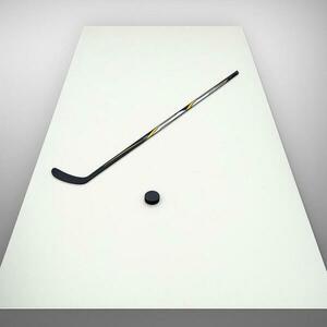 Sport365 střelecká deska 300x150x0, 2 cm obraz