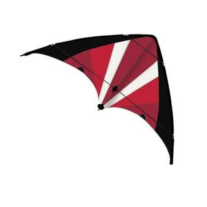 Günther Sportovní řiditelný drak POWER MOVE, 130 x 69 cm obraz