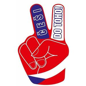 SPORTTEAM Fan. ruka ČR 3 obraz