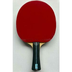 STIGA - Banda Allround Future + EVO pálka - Konkávní - FL obraz