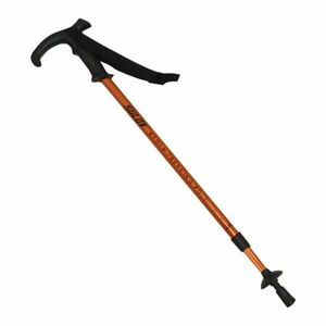 Sulov Seniorská hůl Bedla 3-dílné 1ks obraz