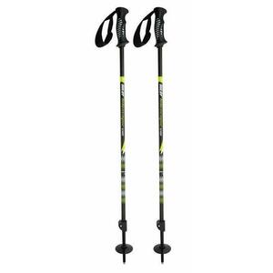 Sulov Sjezdové skládací hole Telescopic Senior vel. 90-145cm zelené obraz