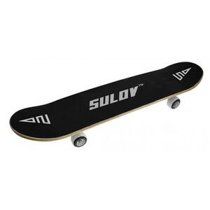 Sulov Skateboard TOP CLAUN, vel. 31x8" obraz