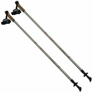 Sulov Skatingové hole SKATE, 2-dílné, pár, ocelová obraz