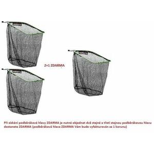 SURETTI Hlava podběráku 50x40cm obraz