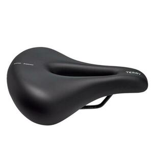 Terry Anatomica obraz