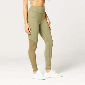 SQUATWOLF Dámské legíny Mesh Insert Green obraz
