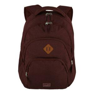Travelite Basics Backpack 22l melange bordeaux obraz