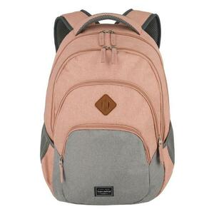 Travelite basics backpack 22l rose grey obraz