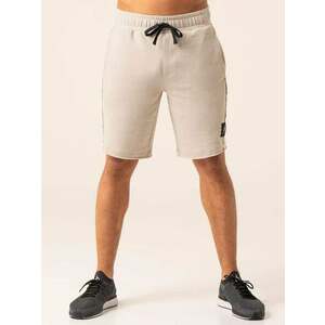 Ryderwear Pánské šortky Dynamic Stone obraz