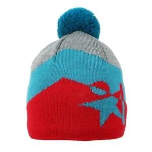 Warmpeace ČEPICE LUCKY - navy/green/grey obraz