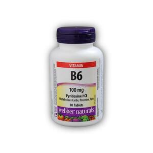 Webber Naturals Vitamin B6 100 mg 90 tablet obraz