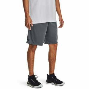 Under Armour Kraťasy UA Tech WM Graphic Short Grey obraz