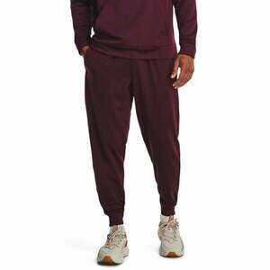 Under Armour Pánské Tepláky Fleece Maroon obraz