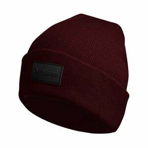 GymBeam Čepice Polar Beanie Burgundy obraz