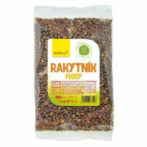 Wolfberry Rakytník plody obraz