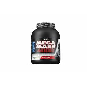 Weider Mega Mass 4000 obraz