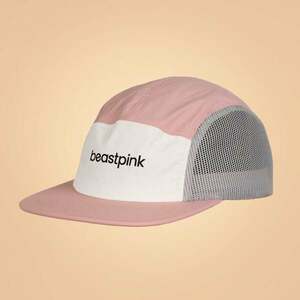 BeastPink 5Panel Cap Pink obraz