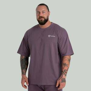 STRIX Oversized Tee Dusk obraz