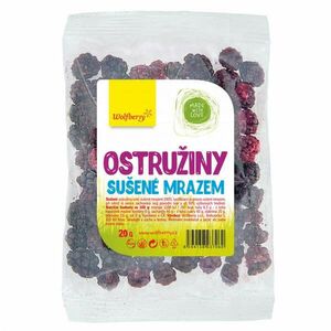 Wolfberry Ostružiny lyofilizované obraz