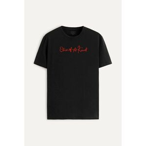 Tričko, Barva Černá, s Potiskem One Of A Kind Teddy obraz