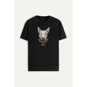 Tričko, Barva Černá, s Potiskem Gang Pitbull obraz