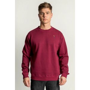 Mikina, Barva Bordó, s Potiskem Toucan obraz