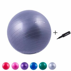Gymnastický míč Sportago Anti-Burst 55 cm, včetně pumpičky obraz