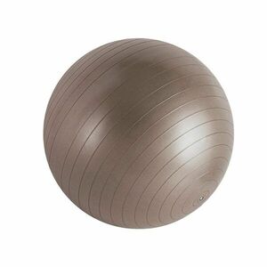 Gymnastický míč Sportago Anti-Burst 55 cm, včetně pumpičky - kávová obraz