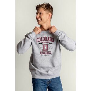 Mikina, Barva Šedá, s Potiskem Hendrix Hockey League obraz