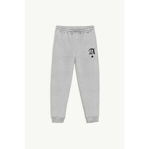 Tepláky, Barva Šedá, s Potiskem Hardcore Ace obraz