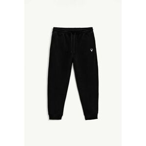 Tepláky, Barva Černá, s Potiskem Hendrix Bull Crème obraz