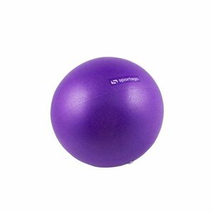Yoga míč Sportago Fit Ball 30 cm fialový obraz