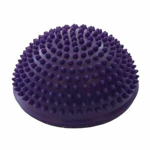 Masážní ježek Sportago Bolly fialový obraz
